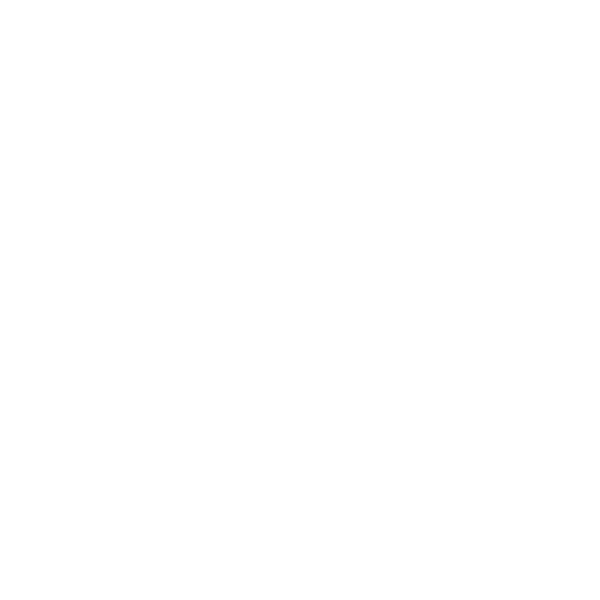 GNC Icon - Ship - White
