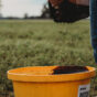 Filling bucket in field Casino 2021 (3).jpg