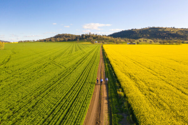 Werris Creek NSW 2