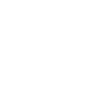 Truck  - White.png
