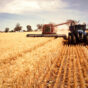 Temora NSW.jpg