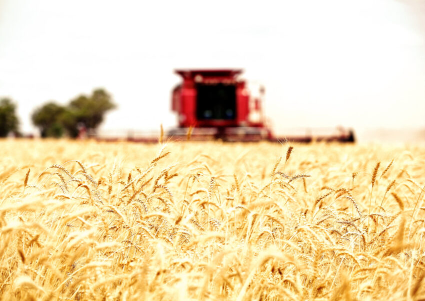Harvest Wee Waa NSW