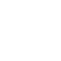 Padlock - White.png