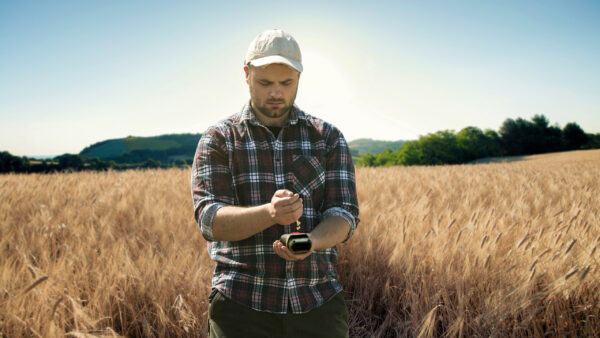 Hone Lab Red - Farmer Field
