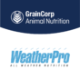 GAN_WeatherPro_Badge_vertical.png