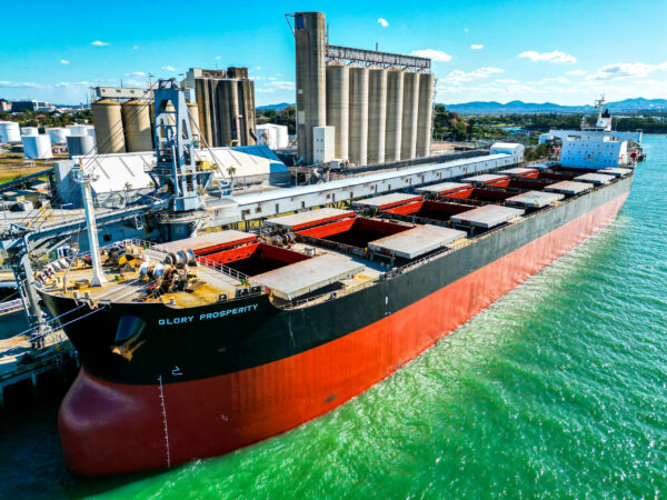 Chickpea vessel at Gladstone QLD
