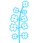 Canola - Light Blue.png