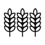 Crop - Dark Grey.png