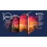 GrainCorp Teams Backgrounds - Celebrating 10 years of silo art Thallon option 1