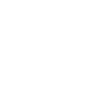 Truck - White.png