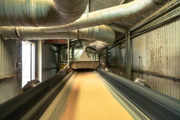 Grain Conveyor Belt