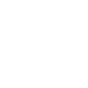 Shield - White.png