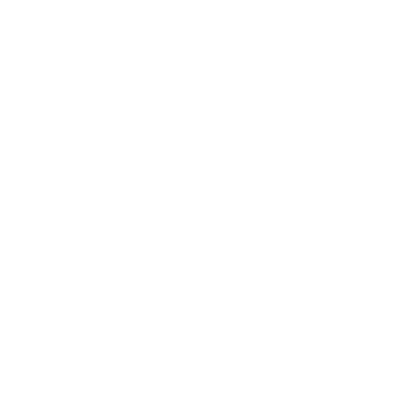 GNC Icon - Windows - White