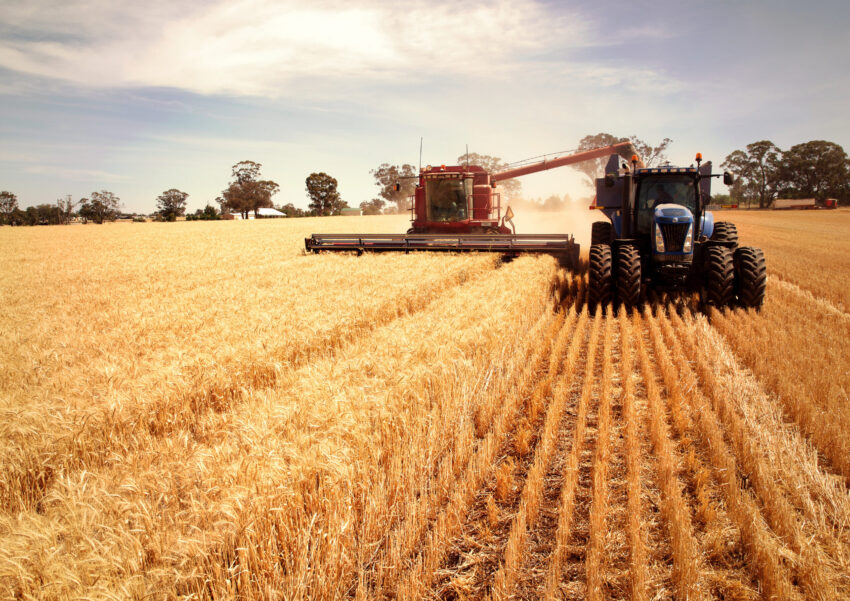 Harvest Temora NSW