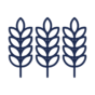 Crop - Navy Blue.png
