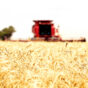 Harvest Wee Waa  NSW.jpg