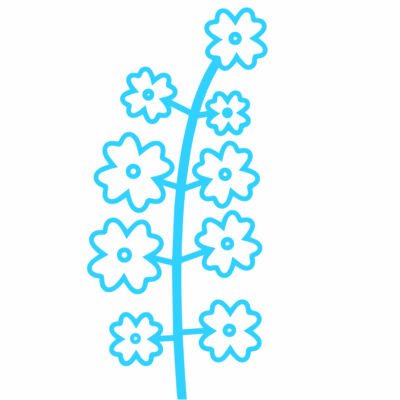 GNC Icon - Canola - Light Blue