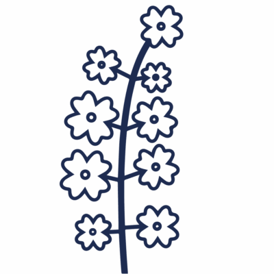 GNC Icon - Canola - Navy Blue