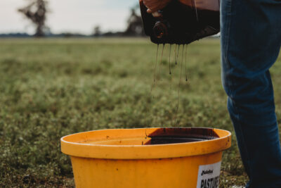 Molafos Casino NSW 1