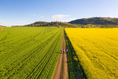 Werris Creek NSW 2