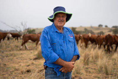 Cattle producer NNSW 2023