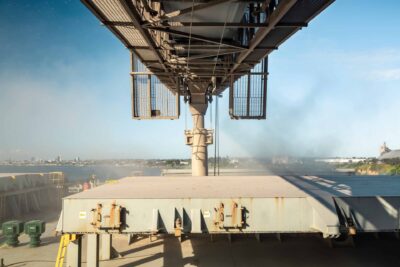 Grain loaded into vessel