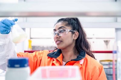 Lab at West Footscray Vic 1