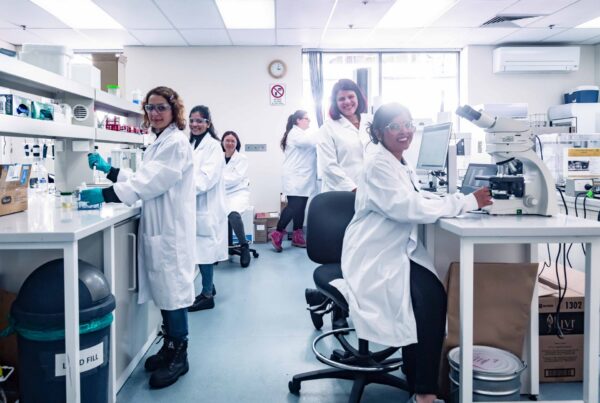 Lab at West Footscray Vic 1
