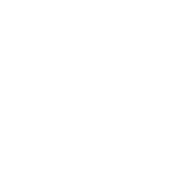 GNC Icon - Link - White