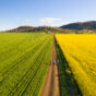 Graincorp77.jpg