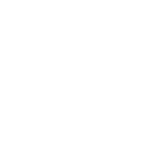 GNC Icon - Hi-vis Vest - White