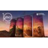 GrainCorp Teams Backgrounds - Celebrating 10 years of silo art Thallon option 2