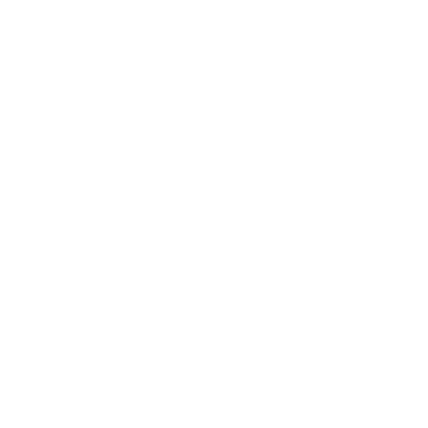 GNC Icon - WiFi - White