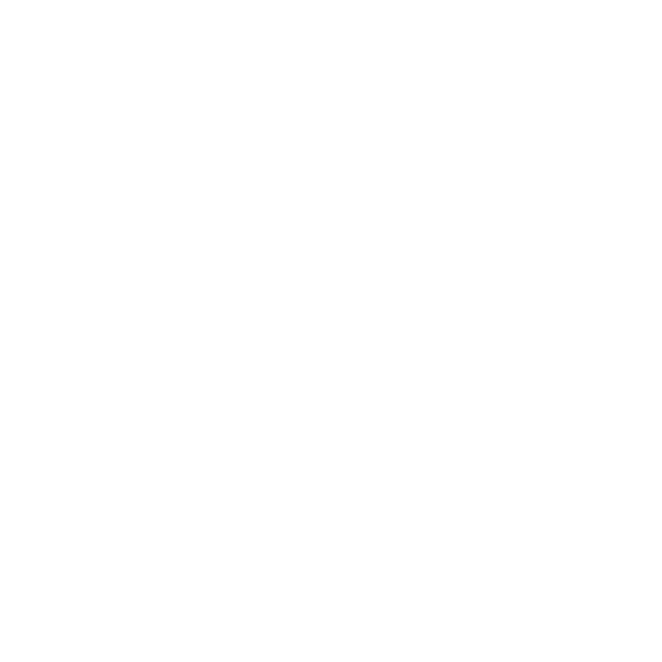 GNC Icon - Sun - White