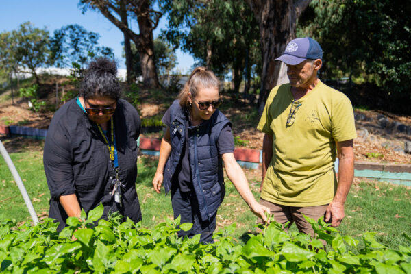 Coomaditchie United Aboriginal Corporation (grant recipient) 2