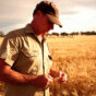 Wheat in hand Victoria.jpg