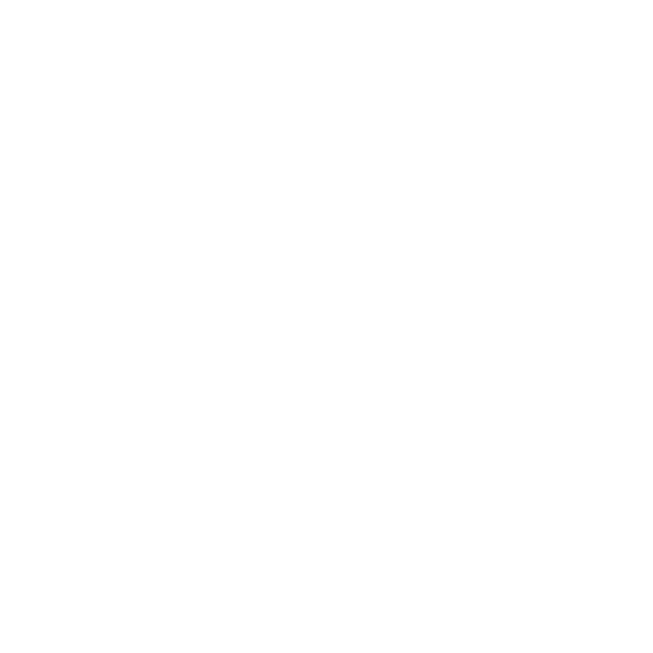 GNC Icon - Snowflake - White