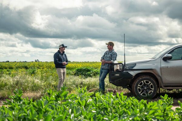 Canola Farmers 1