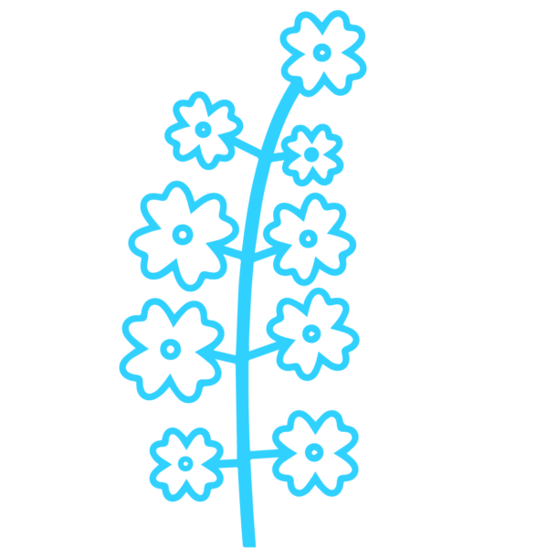 GNC Icon - Canola - Light Blue