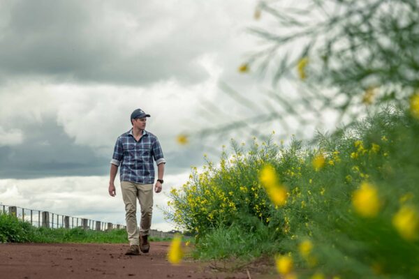 Canola Farmer 1